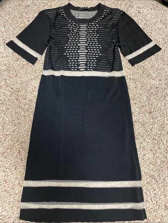Alexander Wang Dresses & Skirts - Alexander wang sheer silver mesh cut out Knit Short-Sleeve Dress- cool